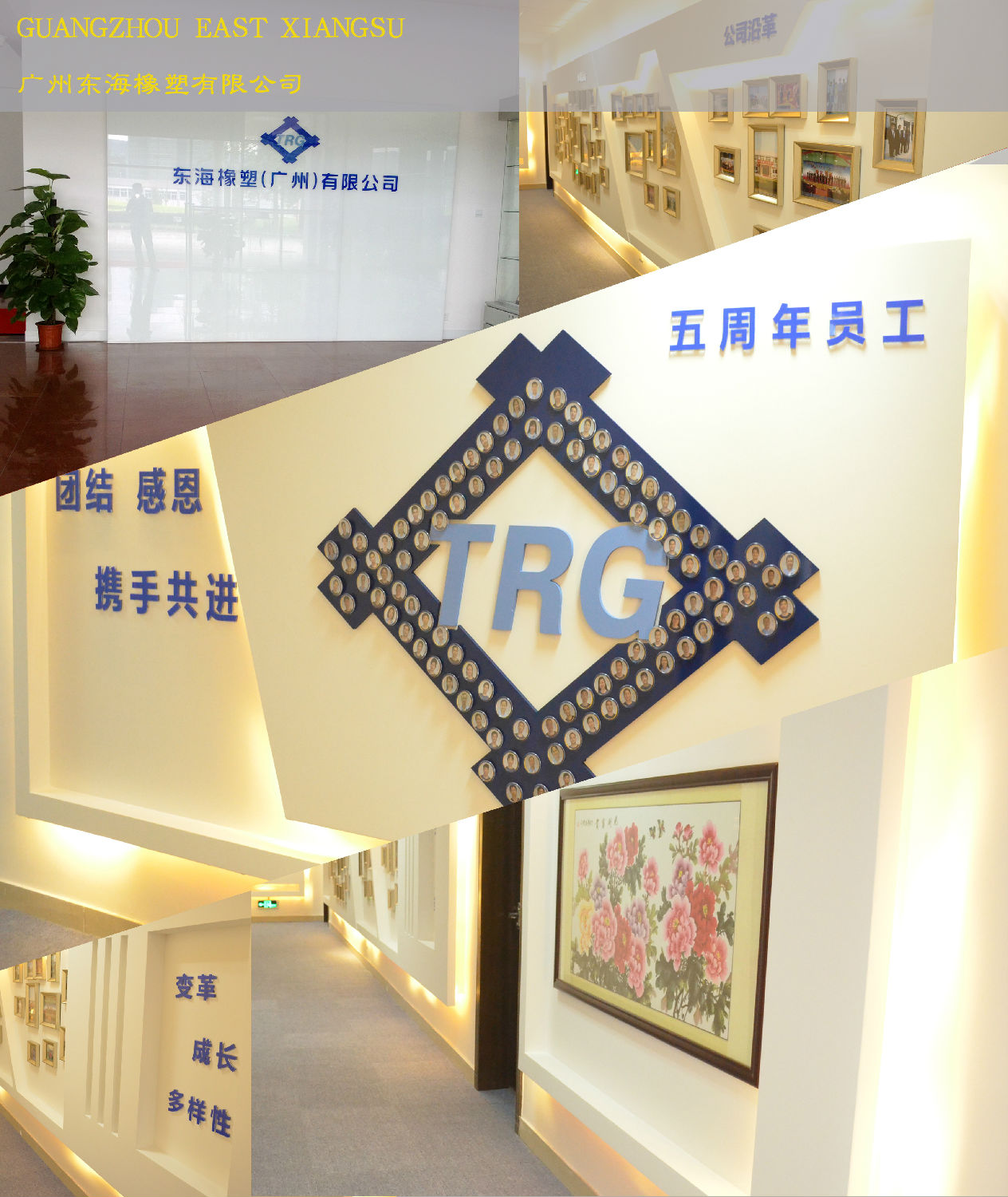 东海办公室香蕉视频免费下载.jpg