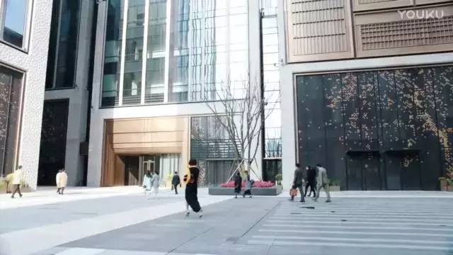 办公室香蕉视频免费下载.jpg